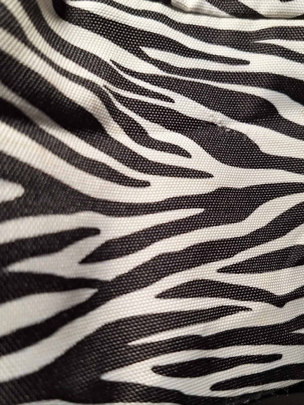 Jansport Backpack Zebra Black White